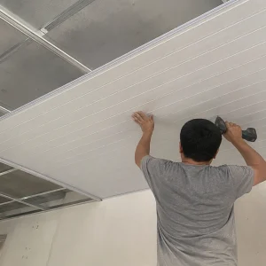 Servicio de instalación de panel PVC cielo